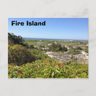 Sunken Forrest, Fire Island, NY Briefkaart