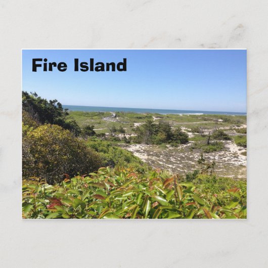 Sunken Forrest, Fire Island, NY Briefkaart (Voorkant)
