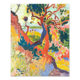 Sunken Path, L'Estaque | Andre Derain | Foto Afdruk