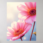 Sunkissed Salmon Poster (Voorkant)