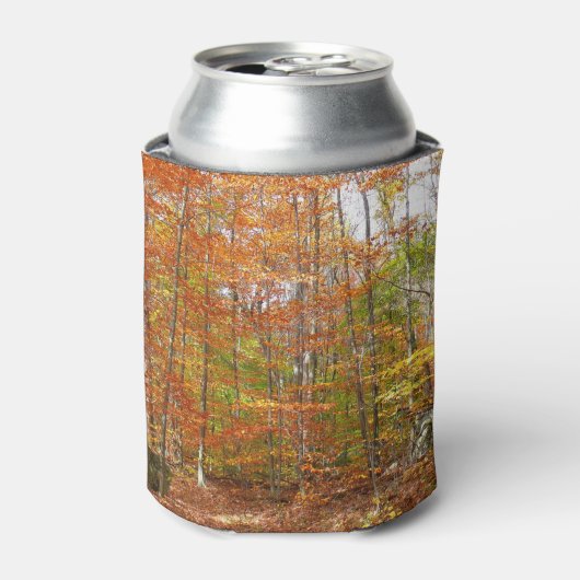 Sunlight Dapapped Herfst Trail at Laurel Hill Park Blikjeskoeler (Blikje Voorkant)