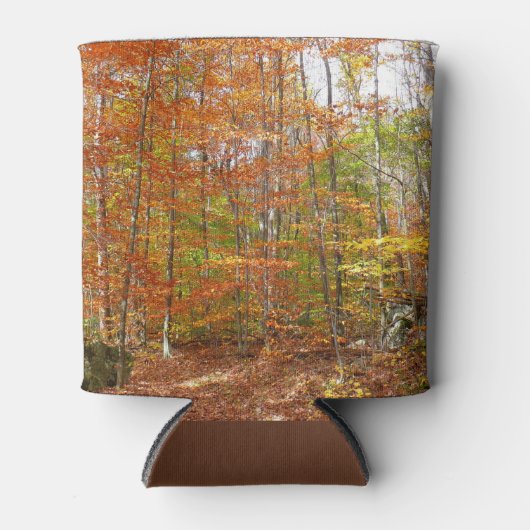 Sunlight Dapapped Herfst Trail at Laurel Hill Park Blikjeskoeler (Voorkant)