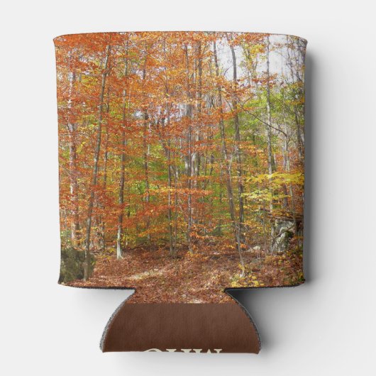 Sunlight Dapapped Herfst Trail at Laurel Hill Park Blikjeskoeler (Achterkant)