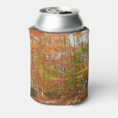 Sunlight Dapapped Herfst Trail at Laurel Hill Park Blikjeskoeler (Blikje Achterkant)