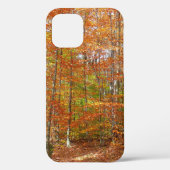 Sunlight Dapapped Herfst Trail at Laurel Hill Park Case-Mate iPhone Case (Achterkant)