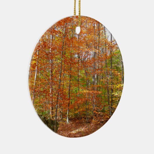 Sunlight Dapapped Herfst Trail at Laurel Hill Park Keramisch Ornament (Rechts)