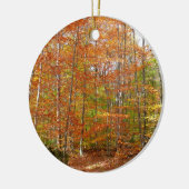 Sunlight Dapapped Herfst Trail at Laurel Hill Park Keramisch Ornament (Links)