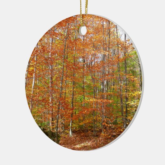 Sunlight Dapapped Herfst Trail at Laurel Hill Park Keramisch Ornament (Links)