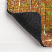 Sunlight Dapapped Herfst Trail at Laurel Hill Park Muismat (Hoek)