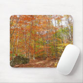 Sunlight Dapapped Herfst Trail at Laurel Hill Park Muismat (Met muis)