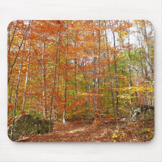 Sunlight Dapapped Herfst Trail at Laurel Hill Park Muismat (Voorkant)