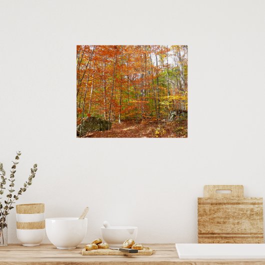 Sunlight Dapapped Herfst Trail at Laurel Hill Park Poster (Keuken)