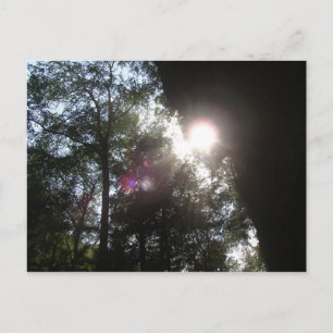 Sunlight Filtering Through at Old Man Cave, Ohio Briefkaart