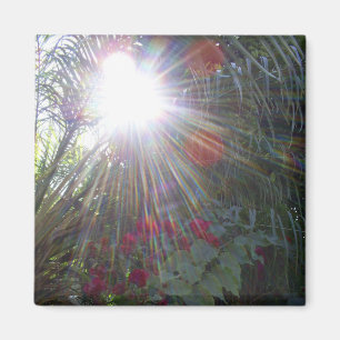 Sunlight Garden Magneet