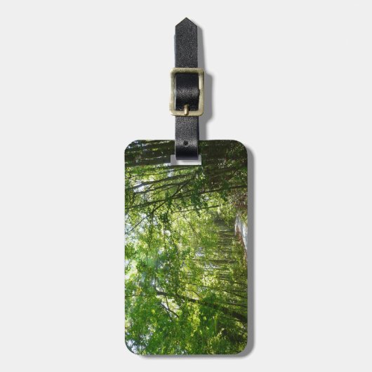 Sunlight on Wooded Path in Centennial Park Bagagelabel (Voorkant verticaal)