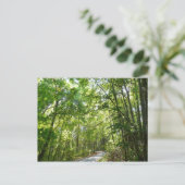 Sunlight on Wooded Path in Centennial Park Briefkaart (Staand voorkant)