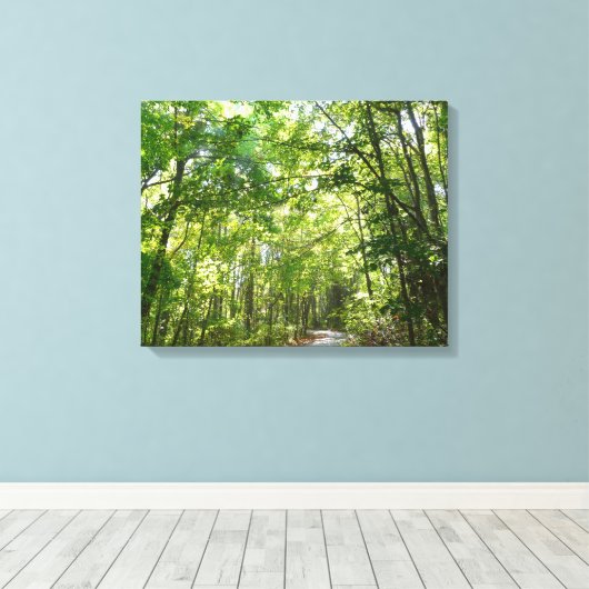 Sunlight on Wooded Path in Centennial Park Canvas Afdruk (Insitu (Houten vloer))