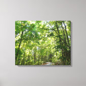 Sunlight on Wooded Path in Centennial Park Canvas Afdruk (Voorkant)