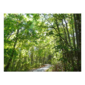 Sunlight on Wooded Path in Centennial Park Foto Afdruk (Voorkant)