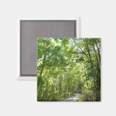 Sunlight on Wooded Path in Centennial Park Magneet (Voorkant / Achterkant)