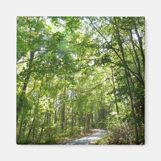 Sunlight on Wooded Path in Centennial Park Magneet (Voorkant)