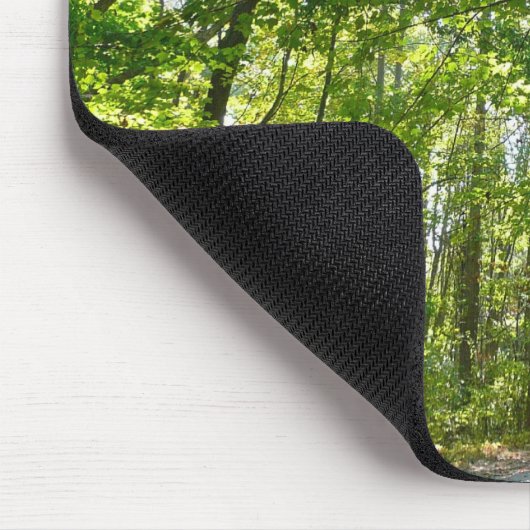 Sunlight on Wooded Path in Centennial Park Muismat (Hoek)