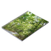 Sunlight on Wooded Path in Centennial Park Notitieboek (Linkerzijde)