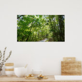 Sunlight on Wooded Path in Centennial Park Poster (Keuken)
