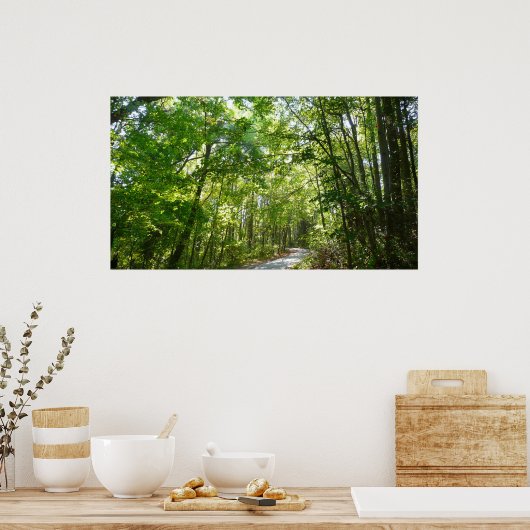 Sunlight on Wooded Path in Centennial Park Poster (Keuken)