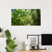 Sunlight on Wooded Path in Centennial Park Poster (Thuiskantoor)