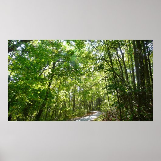 Sunlight on Wooded Path in Centennial Park Poster (Voorkant)