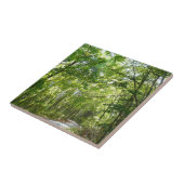 Sunlight on Wooded Path in Centennial Park Tegeltje (Zijkant)