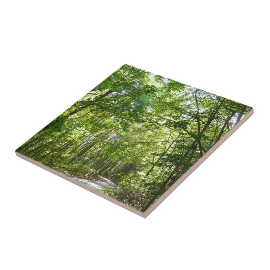 Sunlight on Wooded Path in Centennial Park Tegeltje (Zijkant)