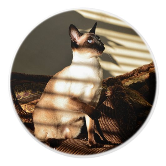 Sunlight Shadows Siamese Cat Keramische Knop (Voorkant)