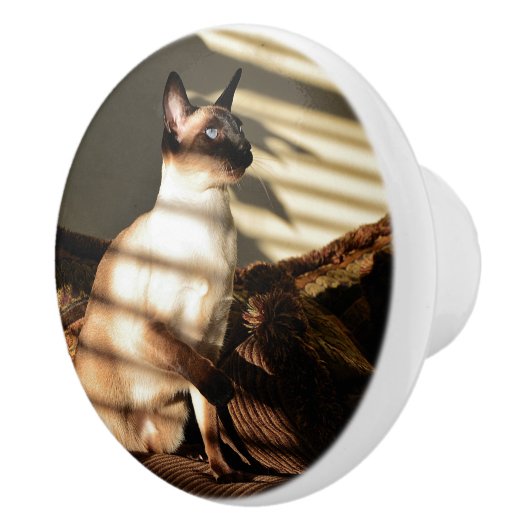 Sunlight Shadows Siamese Cat Keramische Knop (Rechts)