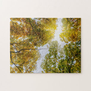 Sunlight Through Autumn Sugar Maples Legpuzzel
