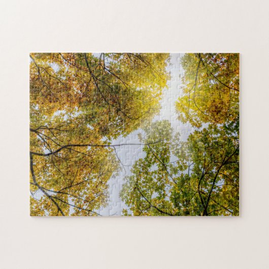 Sunlight Through Autumn Sugar Maples Legpuzzel (Horizontaal)