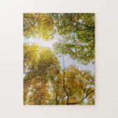 Sunlight Through Autumn Sugar Maples Legpuzzel (Verticaal)