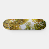 Sunlight Through Autumn Sugar Maples Persoonlijk Skateboard (Horizontaal)