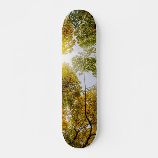 Sunlight Through Autumn Sugar Maples Persoonlijk Skateboard (Voorkant)