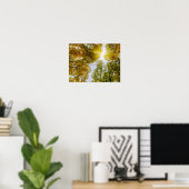 Sunlight Through Autumn Sugar Maples Poster (Thuiskantoor)