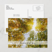 Sunlight through Autumn Sugar Maples Thinking of U Briefkaart (Voorkant / Achterkant)