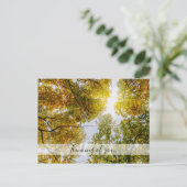 Sunlight through Autumn Sugar Maples Thinking of U Briefkaart (Staand voorkant)