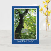 Sunlight Through Leaves: Get Well Kaart: Welsh Kaart (Gele Bloem)