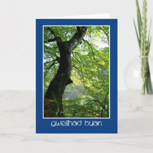 Sunlight Through Leaves: Get Well Kaart: Welsh Kaart