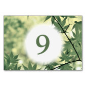 Sunlight Through Maple verliest op maat Kaart (Achterkant)