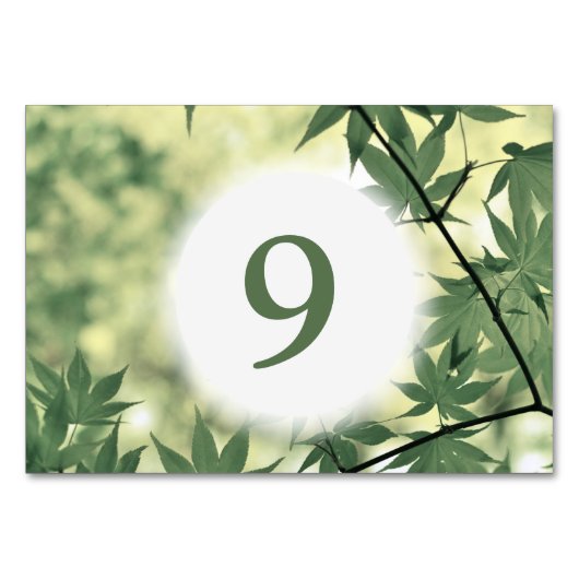 Sunlight Through Maple verliest op maat Kaart (Achterkant)