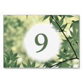 Sunlight Through Maple verliest op maat Kaart (Voorkant)