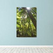 Sunlight Through the Forest Canopy Canvas Afdruk (Insitu (Houten vloer))