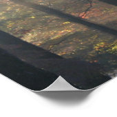 Sunlight Through the Trees Poster Print (Hoek)